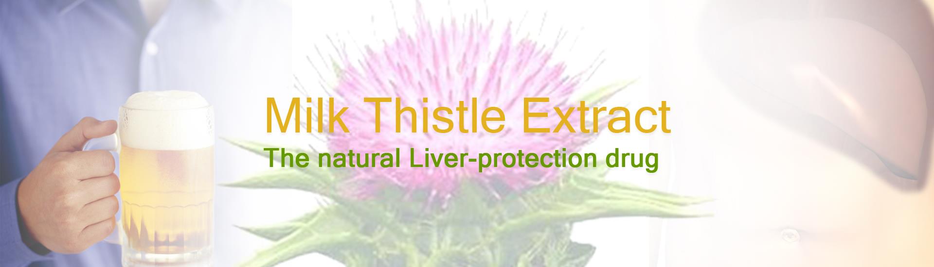 Milk Thistle Extract