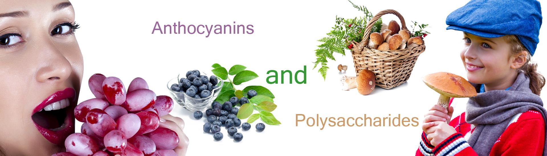 anthocyanins